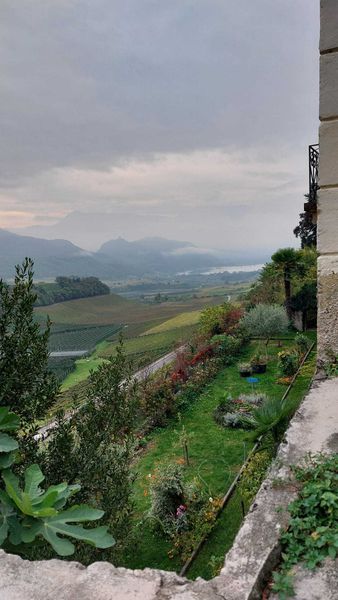 Traubenfest Südtirol © Die Bäuerinnen im Gebiet Weitra