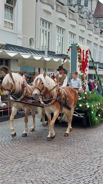 Traubenfest Südtirol © Die Bäuerinnen im Gebiet Weitra