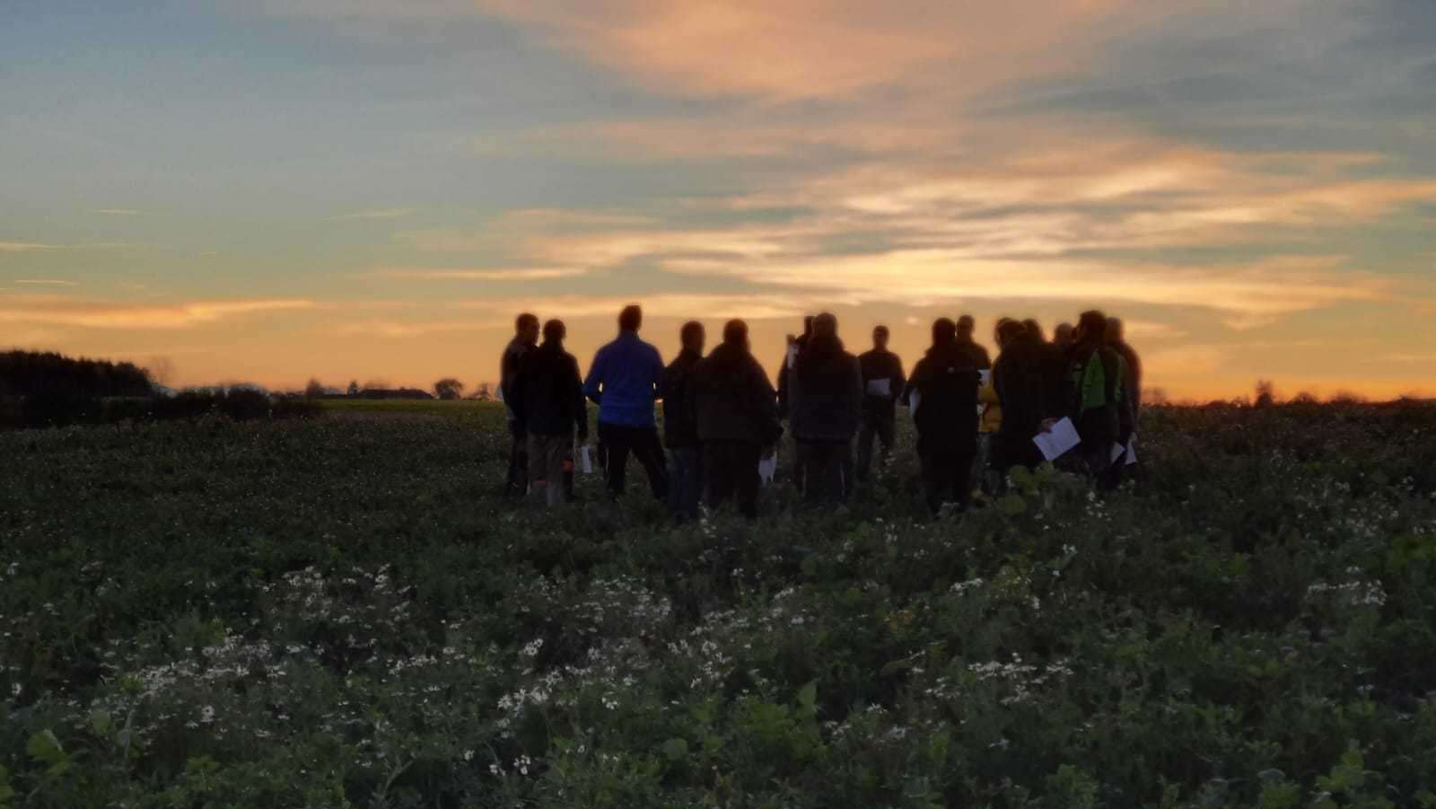 Feldbegehung Arbeitskreis "BWS" Steinhaus und Thalheim mit den Ortsbauernschaften, 4. November 2025