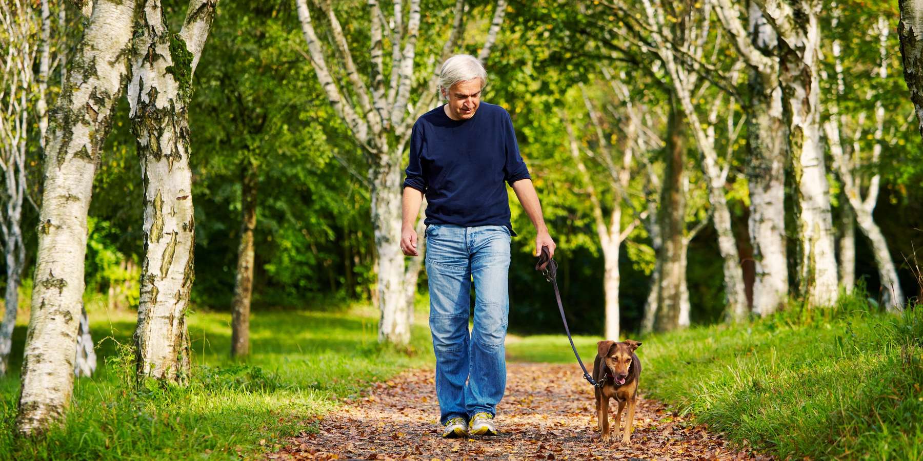 Hundehalter AdobeStock_76322229.jpg © stock.adobe.com