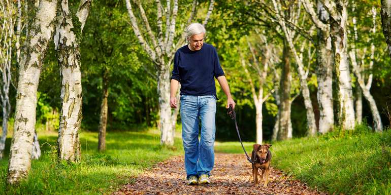 Hundehalter AdobeStock_76322229.jpg © stock.adobe.com