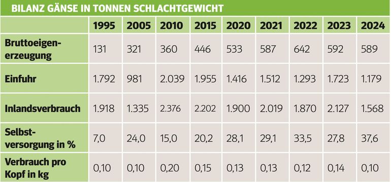 Gänse.jpg © Statistik Austria