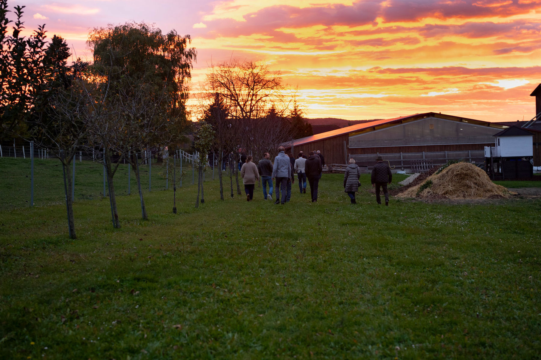 © dielechnerei/ja zu nah