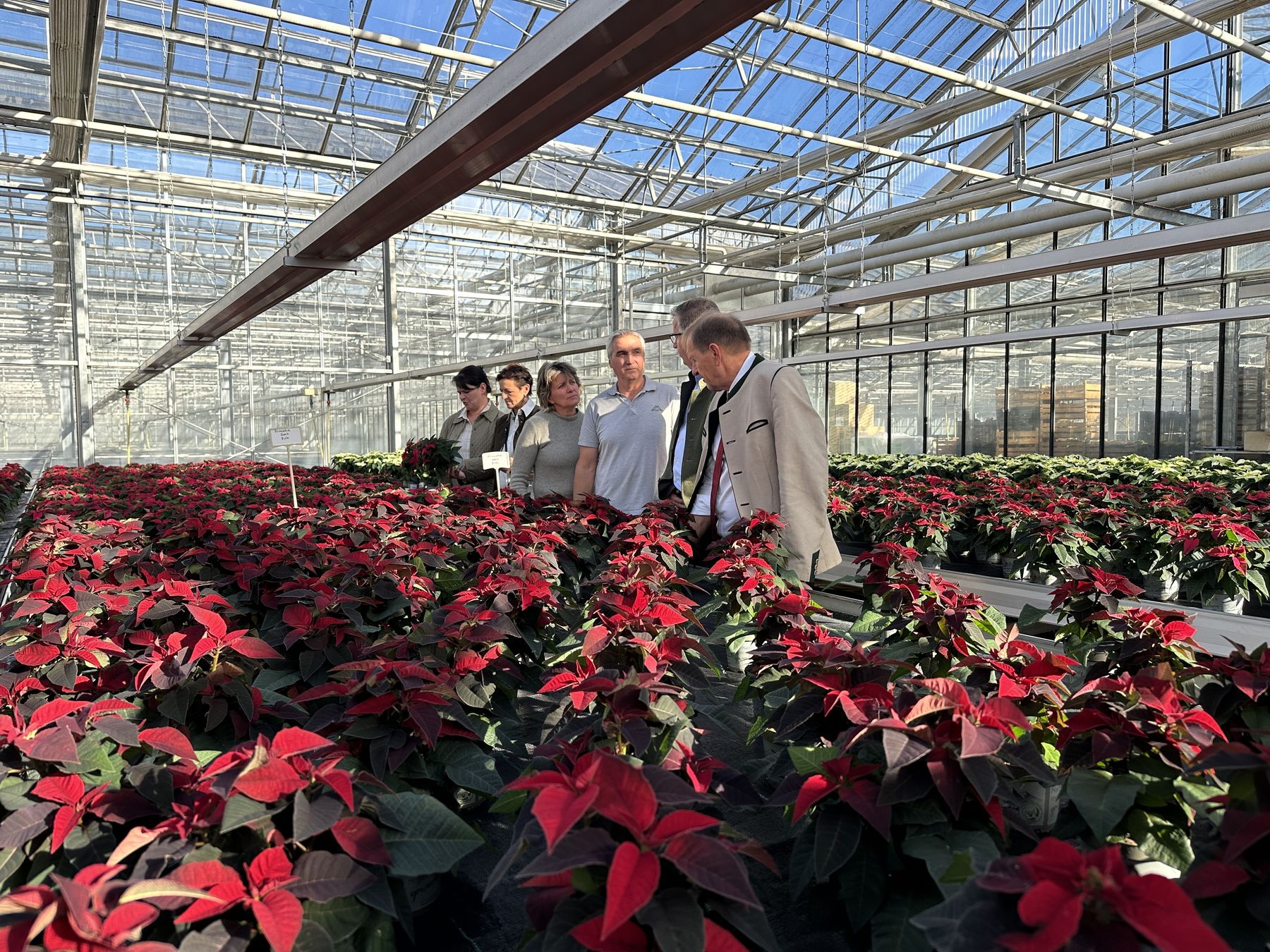 © Martin Rinner/LK Steiermark