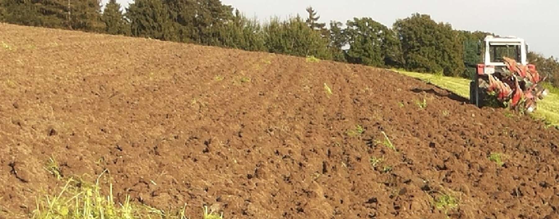 ZWF_Pflug.jpg © BWSB/Wallner