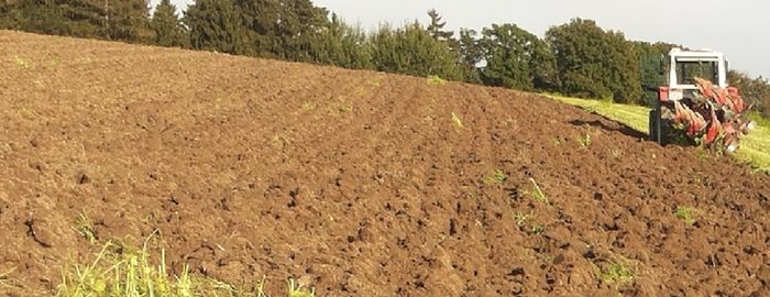 [17624976352429_1.jpg]