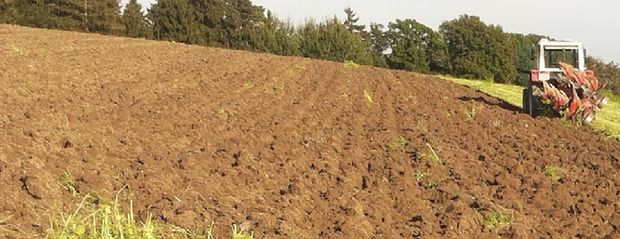 [17624976352429_7.jpg]