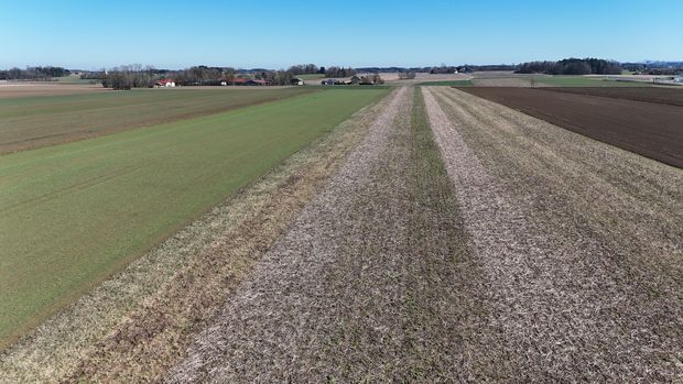 [1762501355854188_7.jpg]