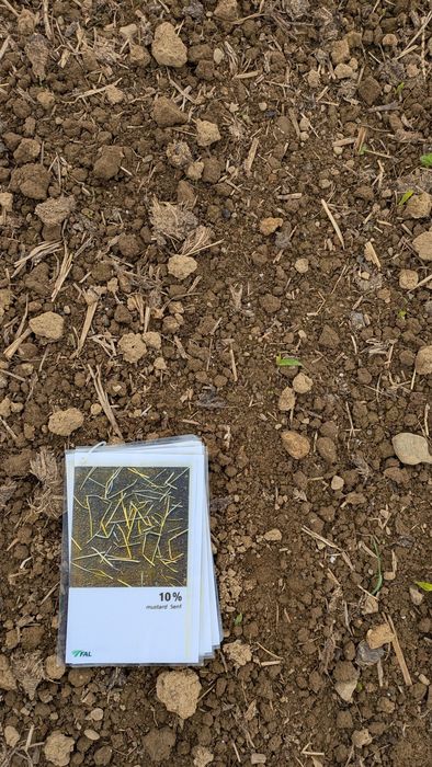 [1762501480620792_1.jpg]