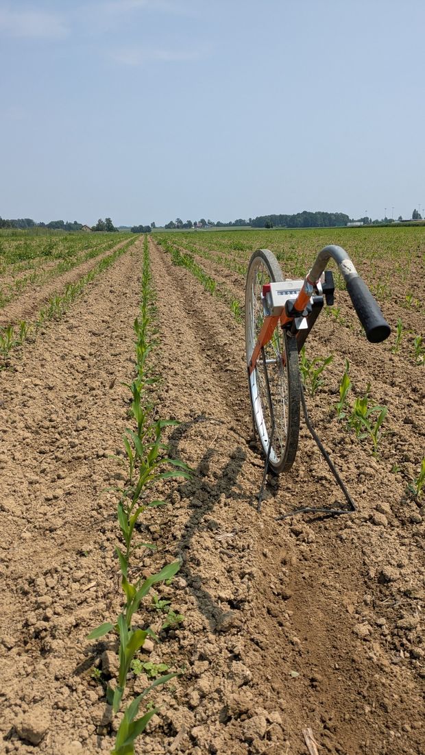 [1762501516758713_7.jpg]