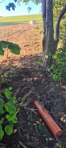 55b.jpg © Alois Voraberger