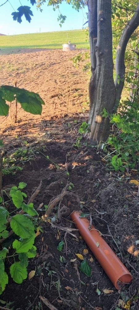 55b.jpg © Alois Voraberger