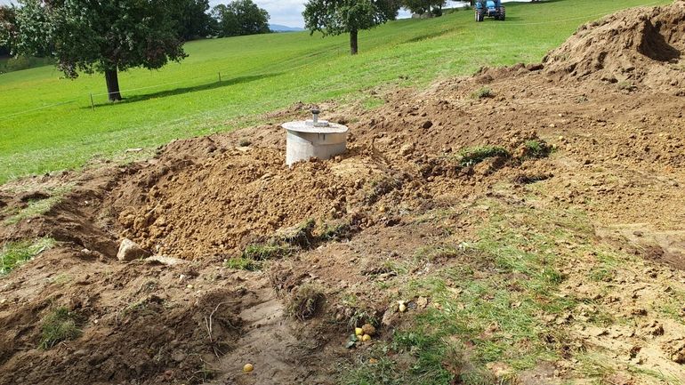 70b.jpg © Alois Voraberger