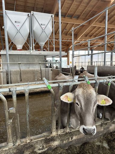 © Martin Rinner/LK Steiermark