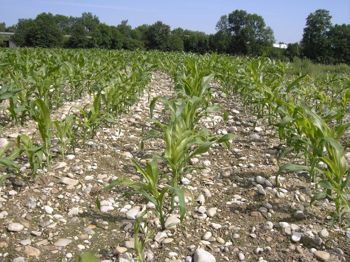 [1762768070447926_1.jpg]