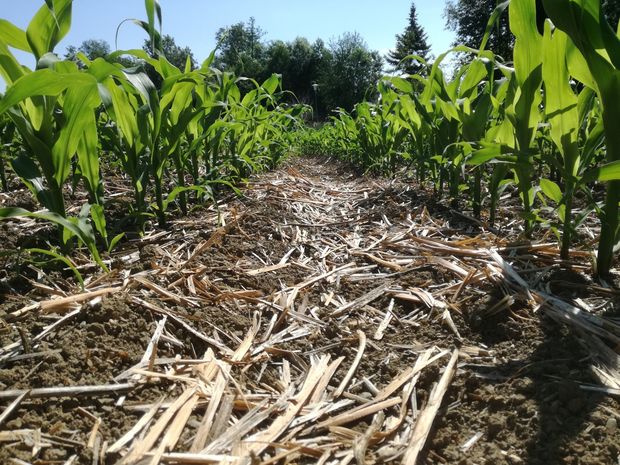 [1762768216392548_7.jpg]