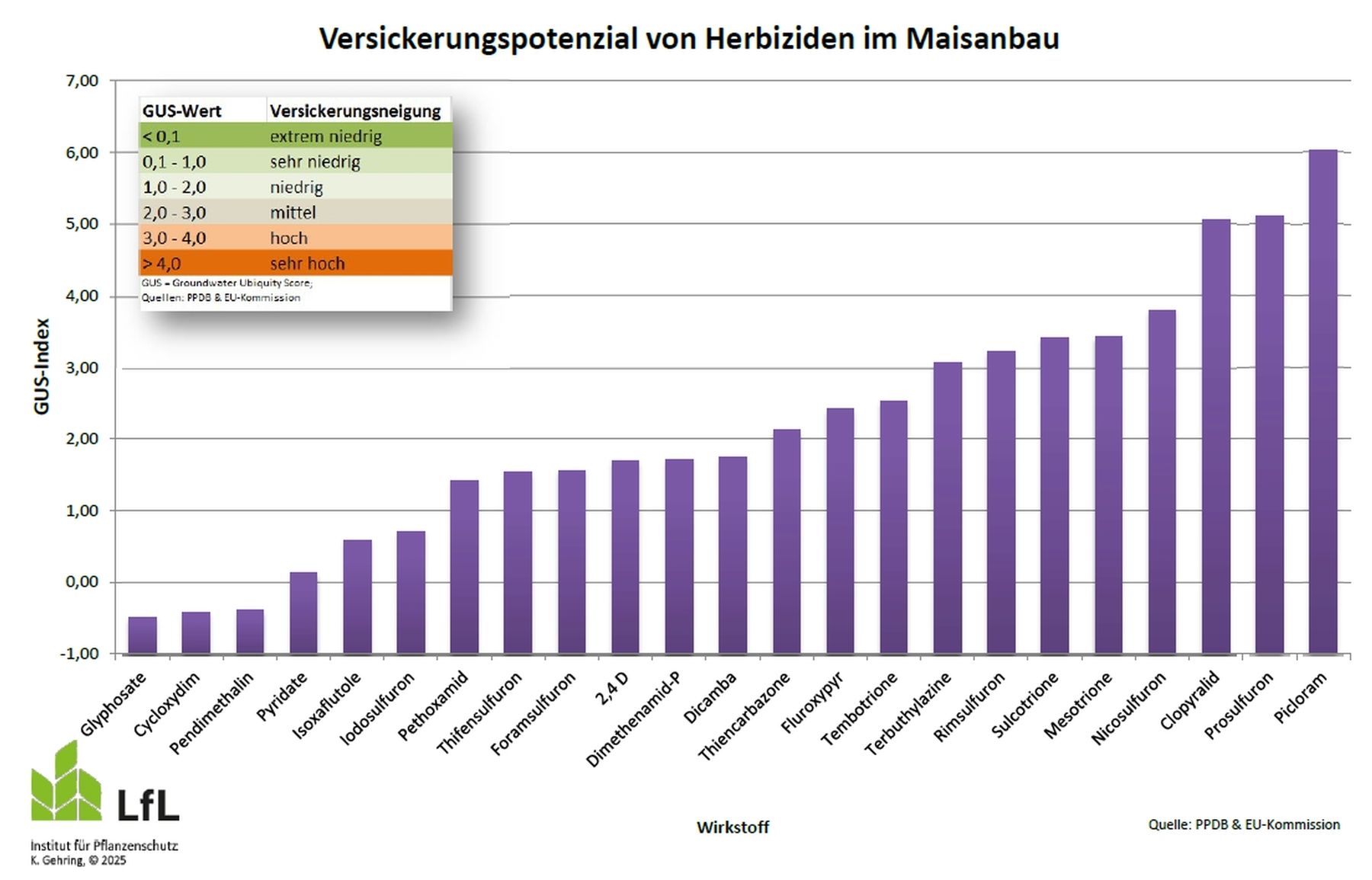 Versickerungspotenzial von Herbiziden im Maisanbau.jpg © Gehring, LfL Bayern
