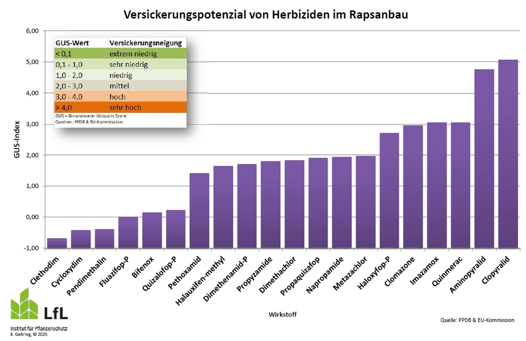 Versickerungspotenzial von Herbiziden im Rapsanbau.jpg © Gehring, LfL Bayern