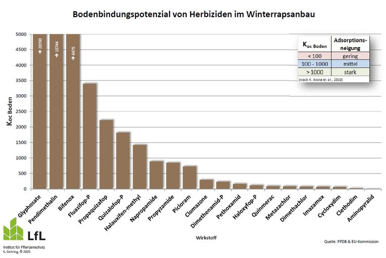 Bodenbindungspotenzial von Herbiziden im Rapsanbau.jpg © Gehring, LfL Bayern
