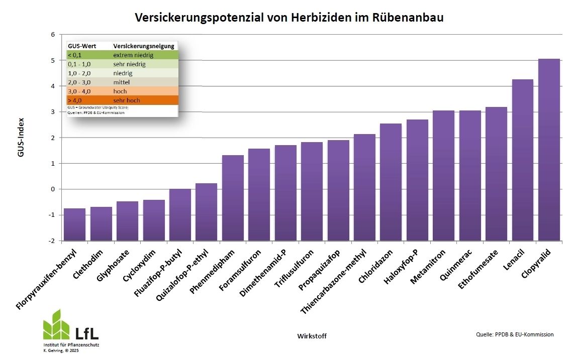 Versickerungspotenzial von Herbiziden im Rübenanbau.jpg © Gehring, LfL Bayern