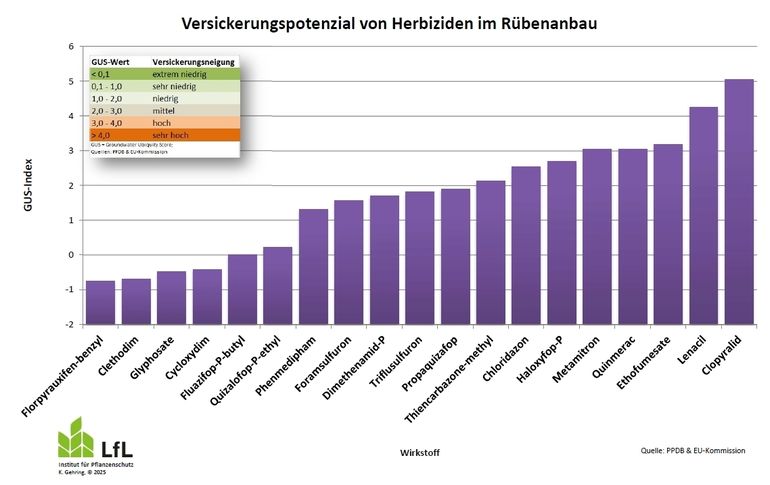 Versickerungspotenzial von Herbiziden im Rübenanbau.jpg © Gehring, LfL Bayern