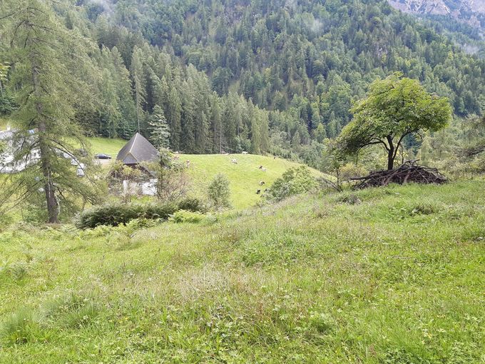 Alm Hinterstoder.jpg © LK OÖ