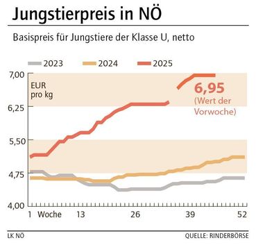 Grafik Stierpreis 46_2025.jpg © LK NÖ