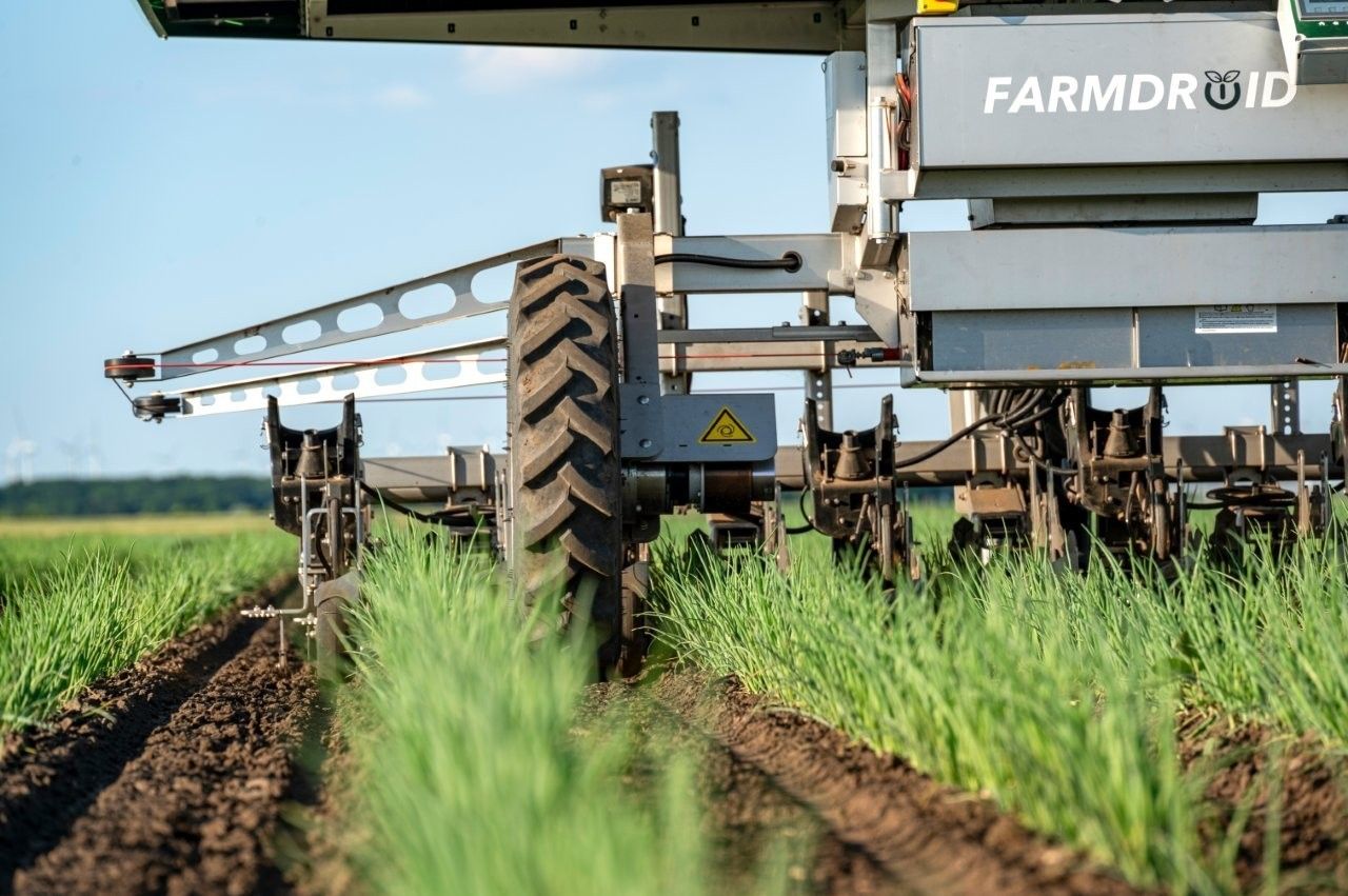 10 agrarfoto_Sae_Hackroboter_Zwiebel_16-ID100083.jpg © agrarfoto.com