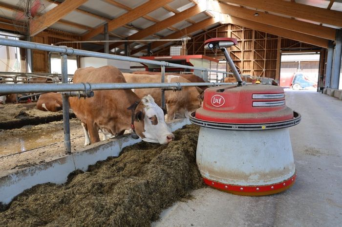 [1762862492389155_1.jpg]