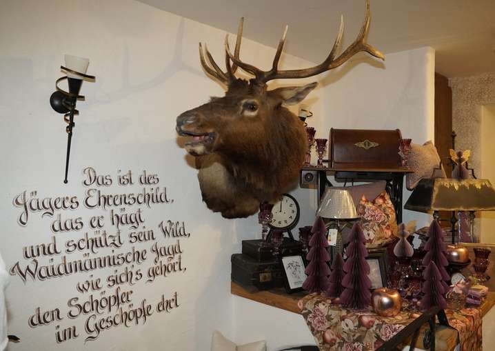 sb46_mt_hirsch.jpg © Dürnberger