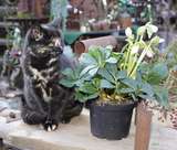 _DSC2022.jpg © Archiv