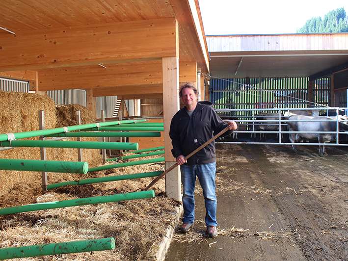 Stall Martin Willam.jpg © LK Vbg.