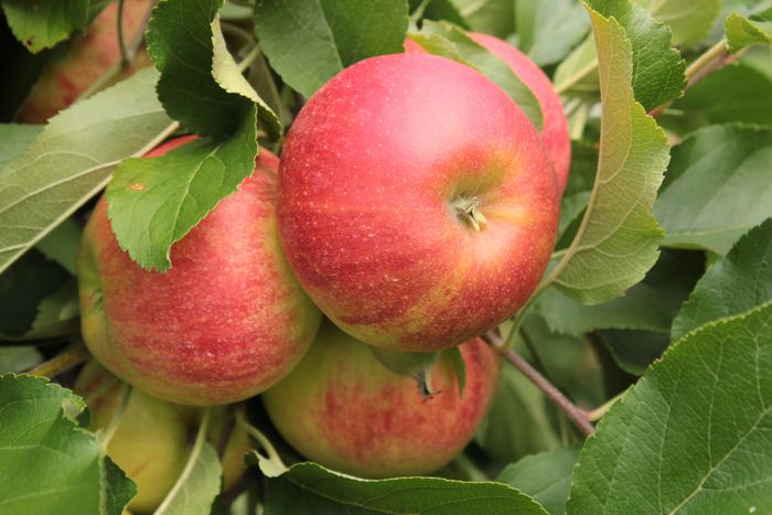 [1762927605499515_1.jpg]