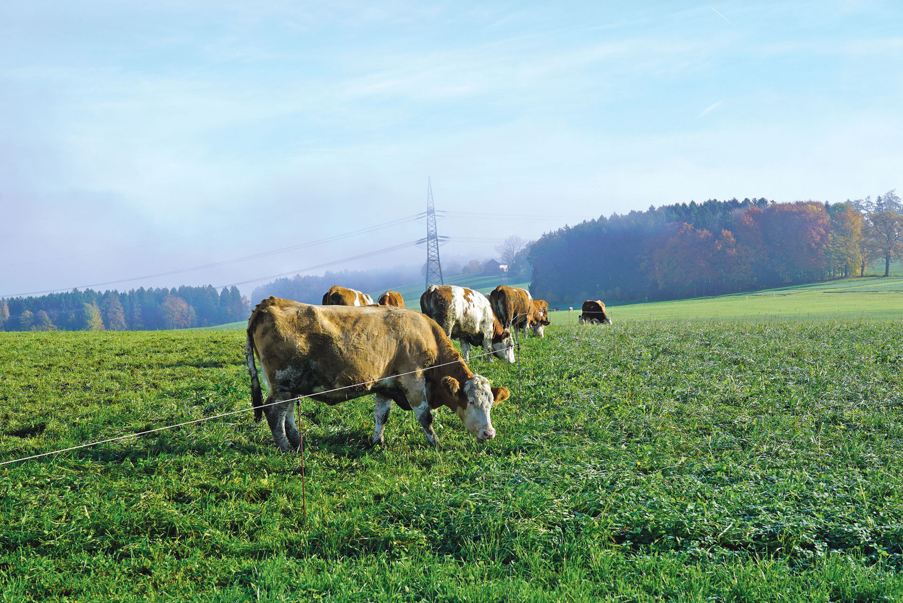 Wörgötter.jpg © Hatheier