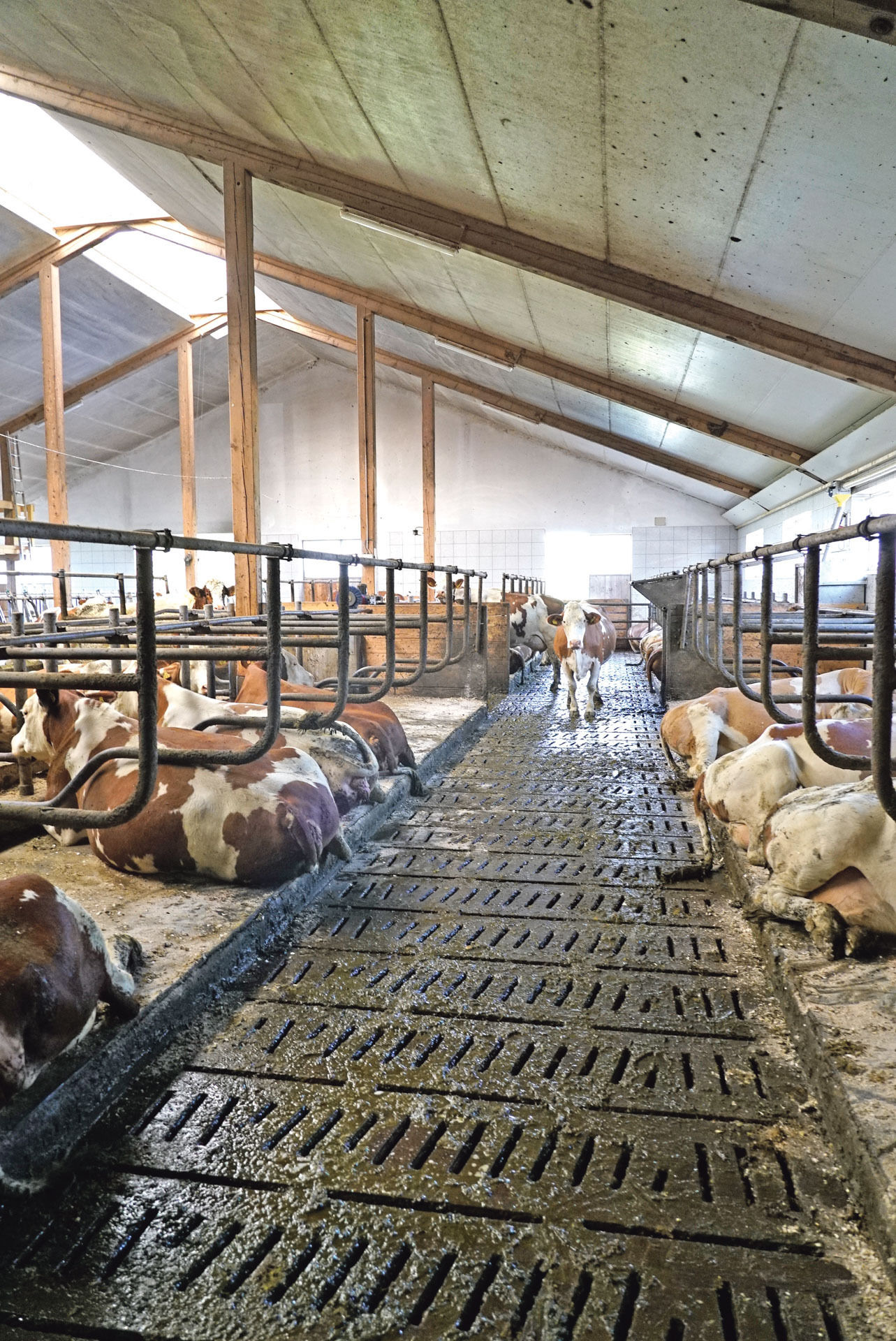 Wörgötter.jpg © Hatheier