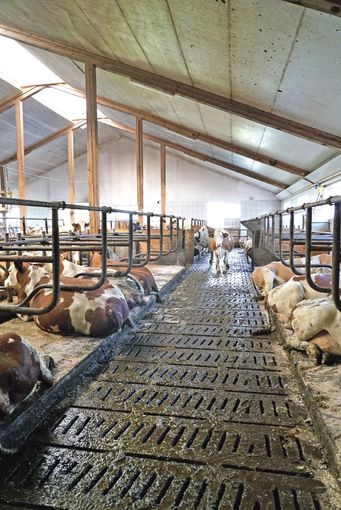 Wörgötter.jpg © Hatheier