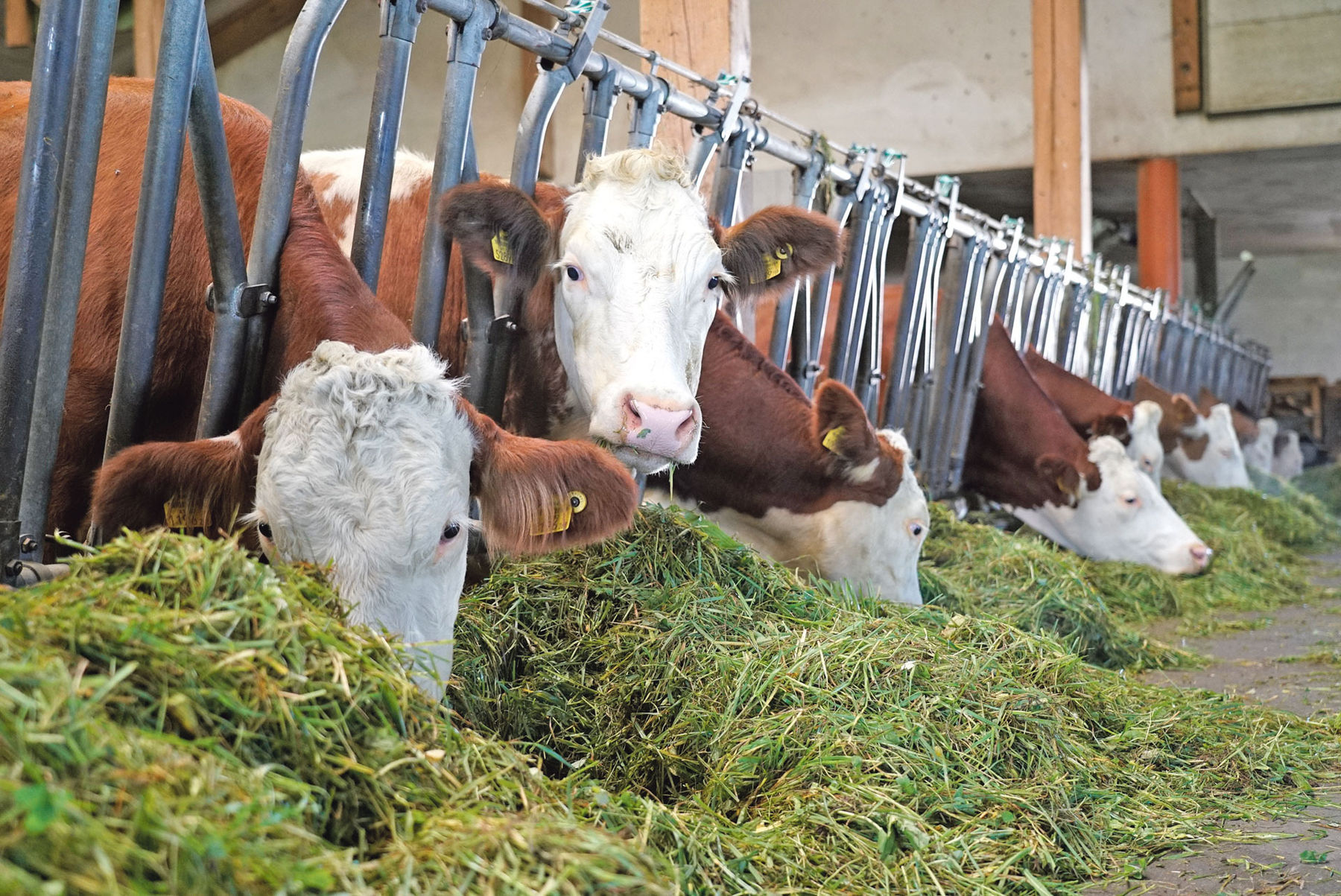 Wörgötter.jpg © Hatheier