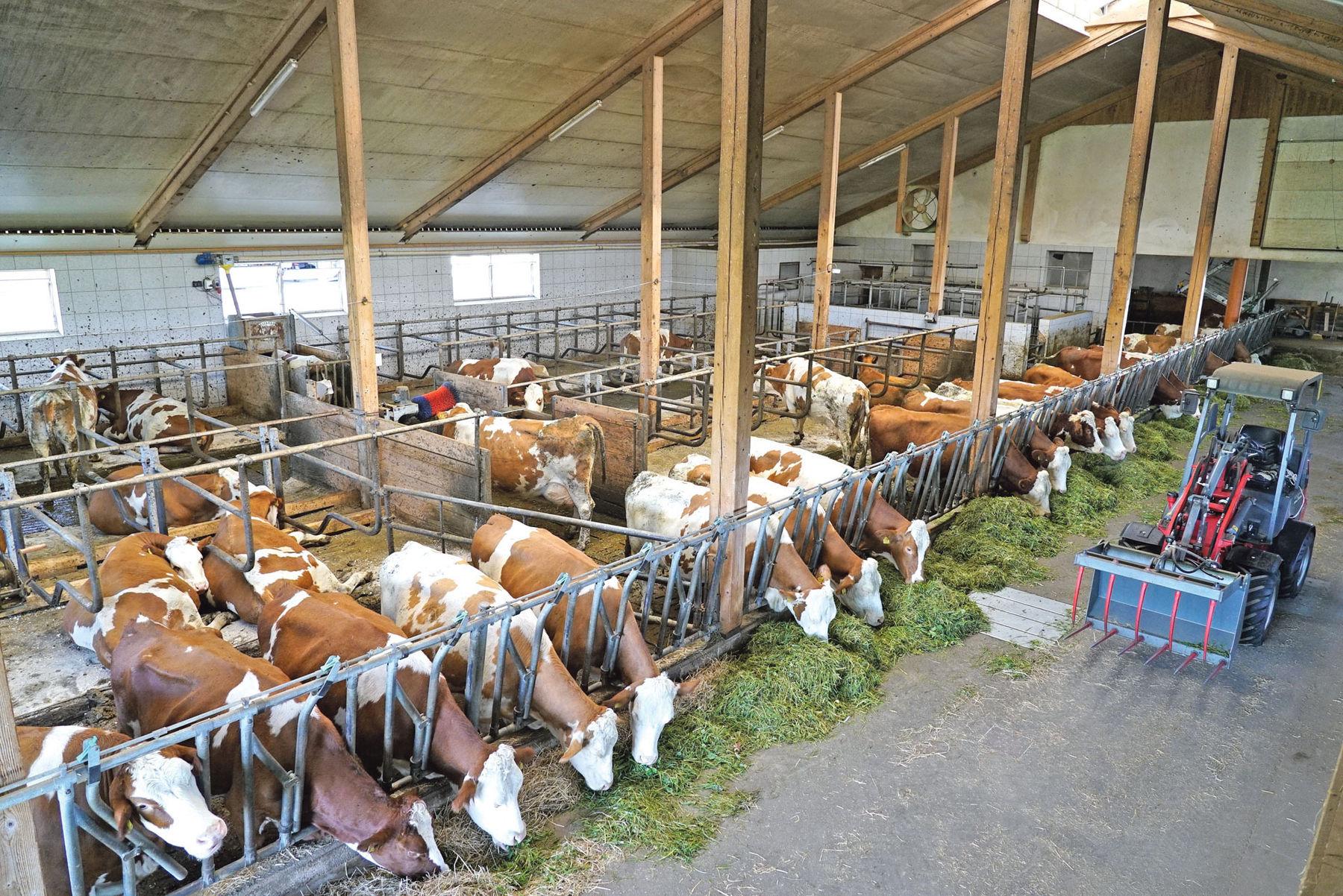 Wörgötter.jpg © Hatheier