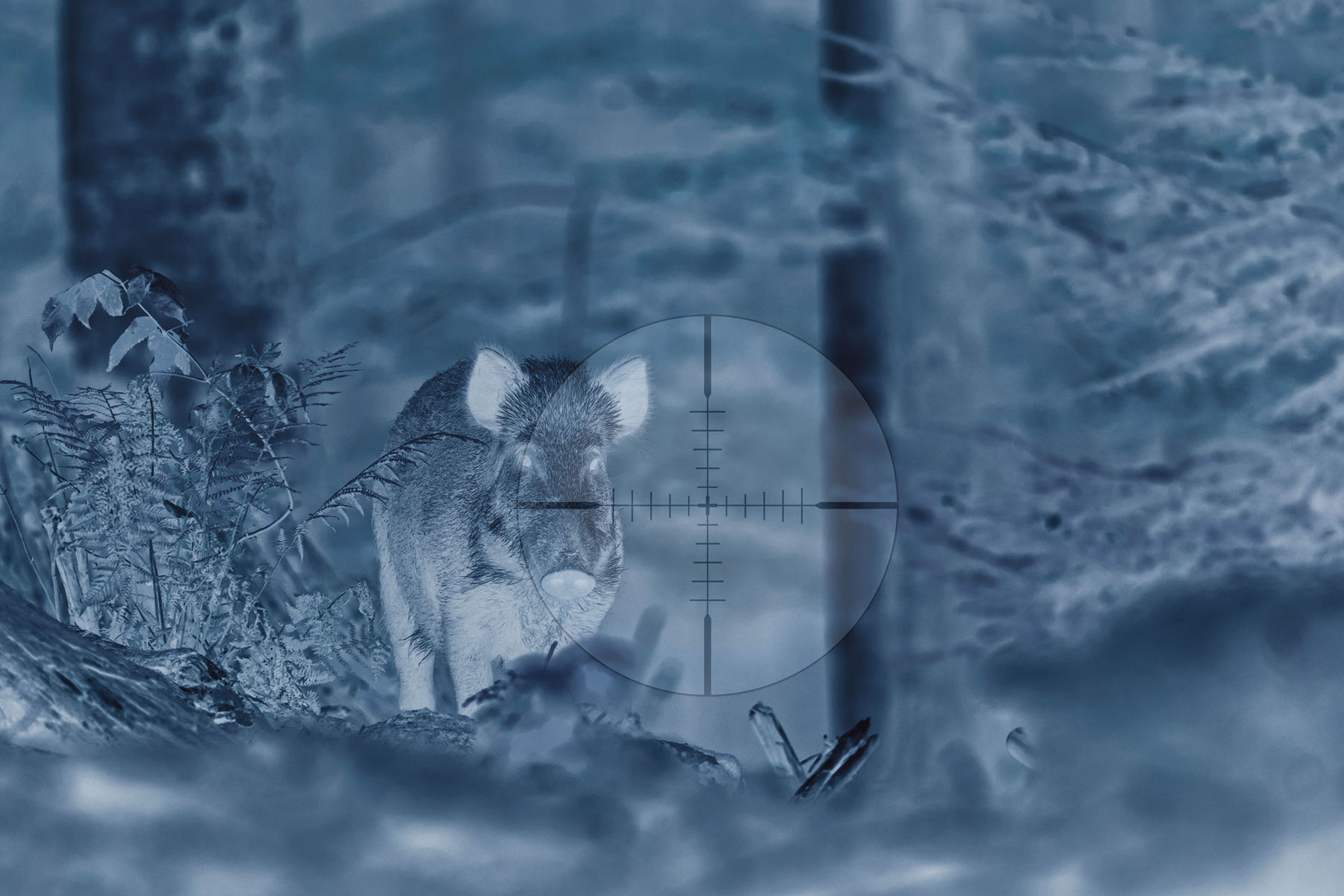 Wildschaden.jpg © AdobeStock