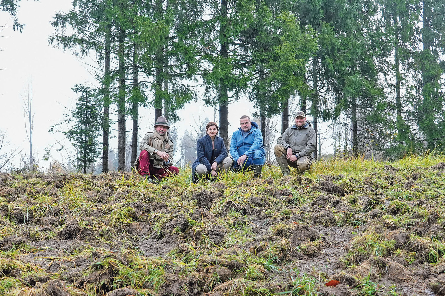 Wildschaden.jpg © AdobeStock