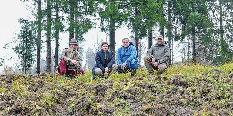 Wildschaden © AdobeStock