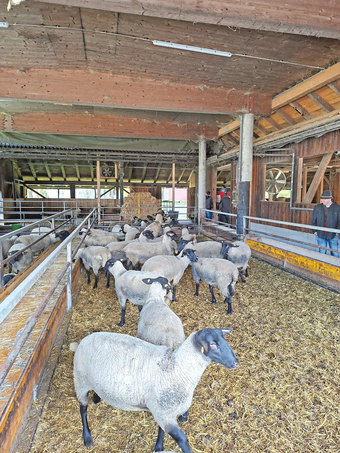 Weitblick durch Arbeitskreise für Schaf- und Ziegenhalter.jpg © SZV