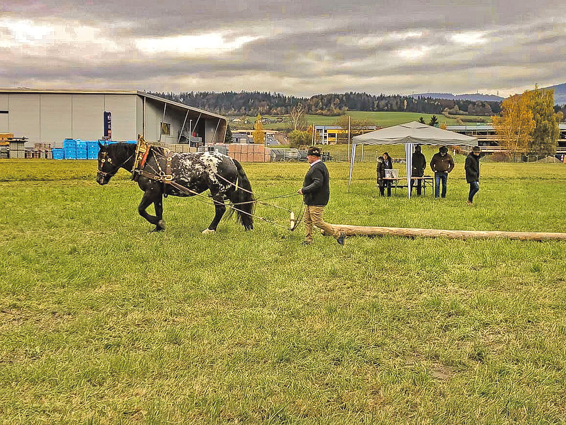 Charakterstärke und Konzentration sind gefragt.jpg © Privat