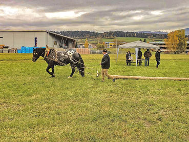 Charakterstärke und Konzentration sind gefragt.jpg © Privat