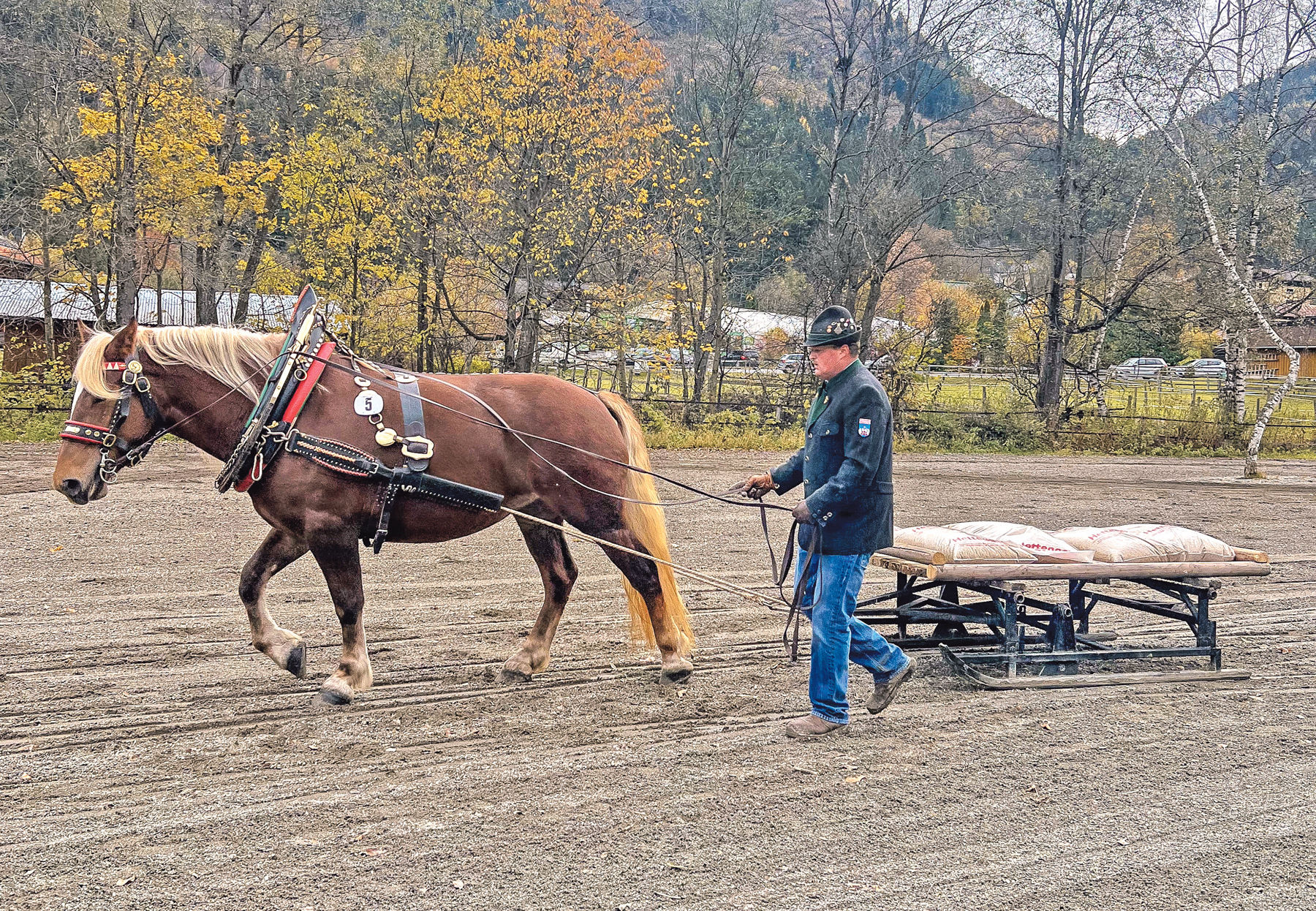 Charakterstärke und Konzentration sind gefragt.jpg © Privat