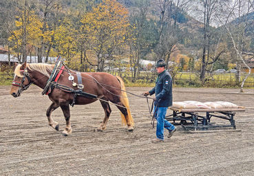 Charakterstärke und Konzentration sind gefragt.jpg © Privat