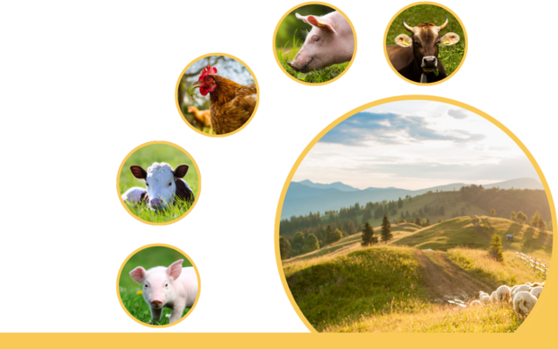 [1762938203439896_7.png]