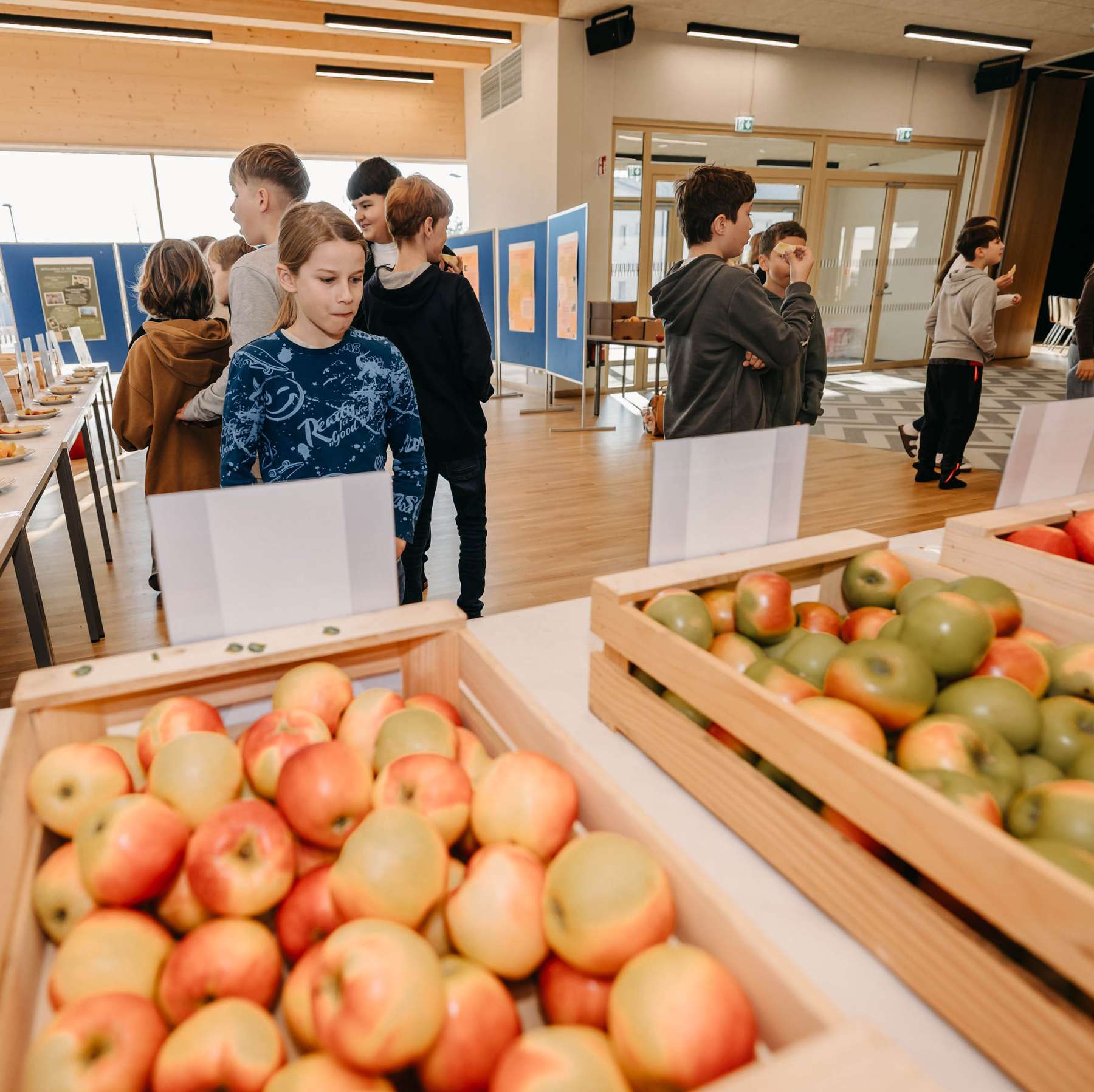 Tag des Apfels.jpg © LK Steiermark-Daniel Winter