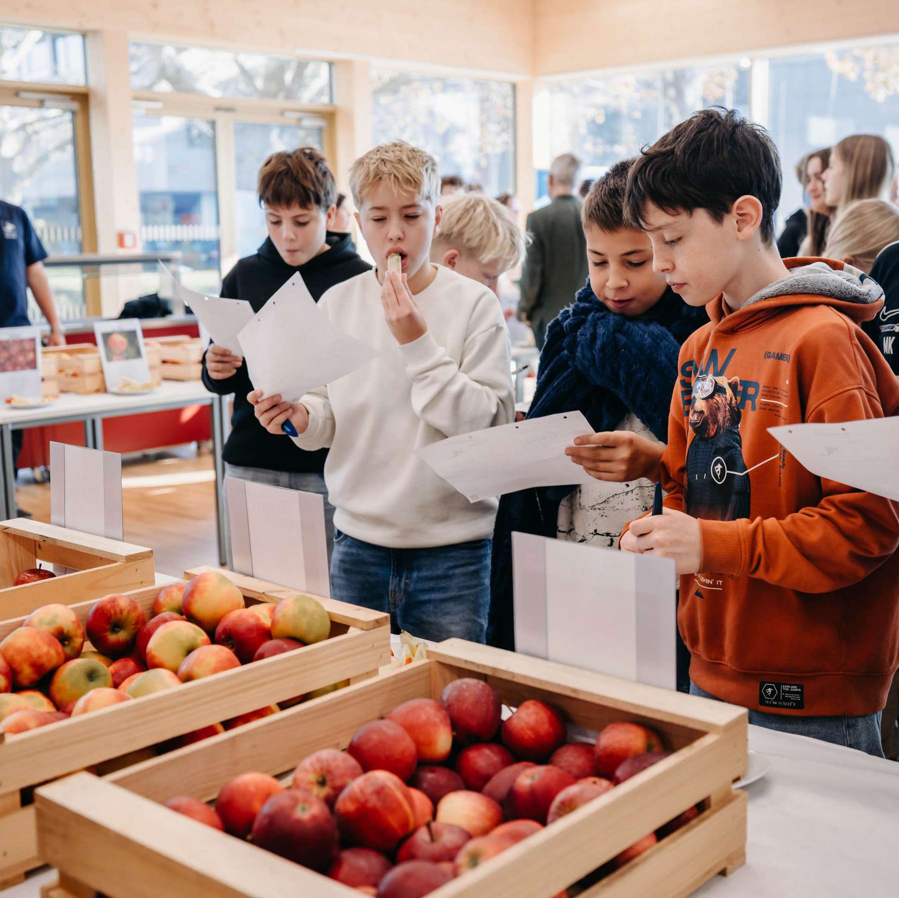 Tag des Apfels.jpg © LK Steiermark-Daniel Winter