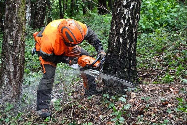 Forstarbeiter.jpg © Leonie Zeller/LK Niederösterreich
